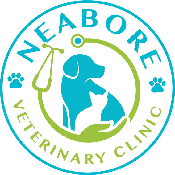 neabore-logo.png