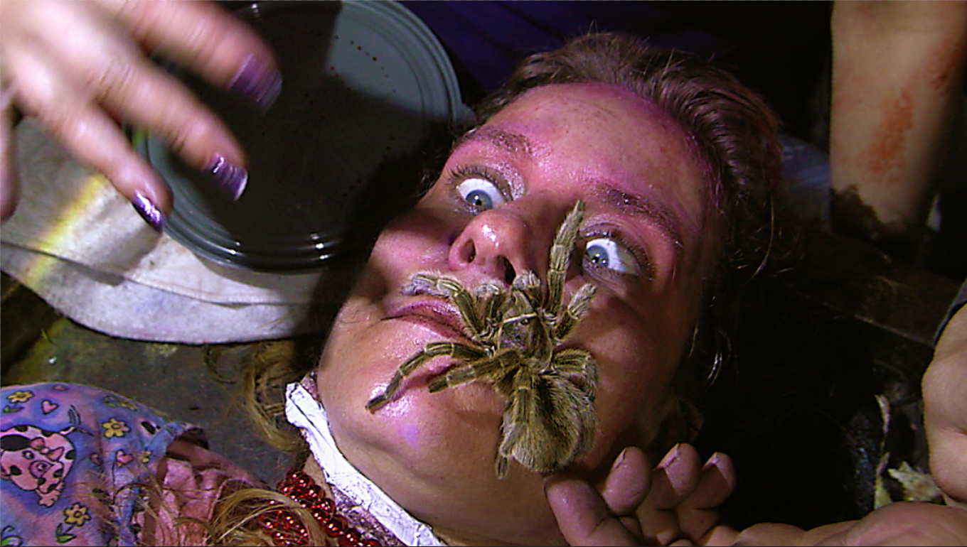 HAUNTERS_The Art Of The Scare - McKamey Manor - spiders.png