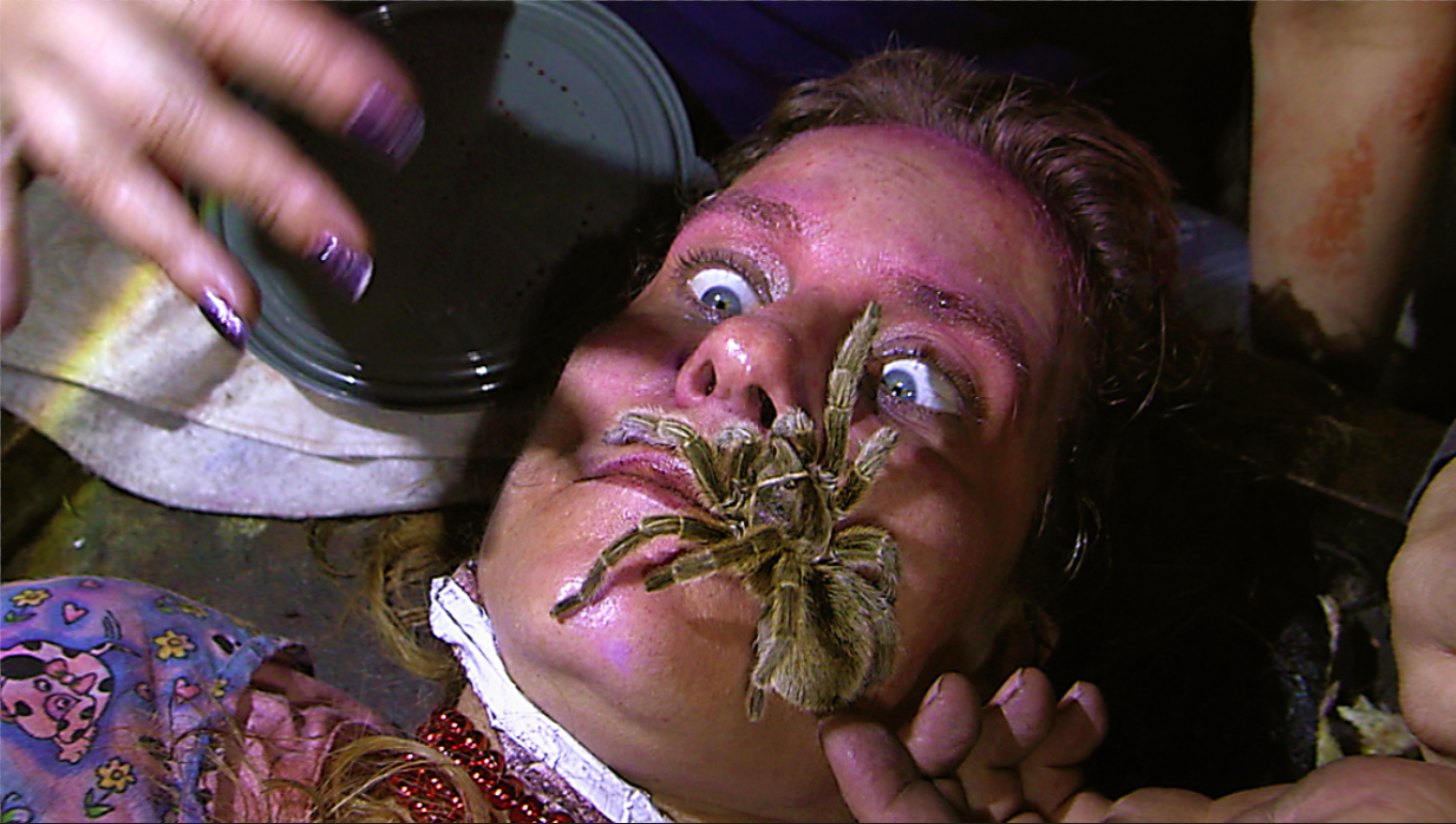 HAUNTERS_The Art Of The Scare - McKamey Manor - spiders (1).png