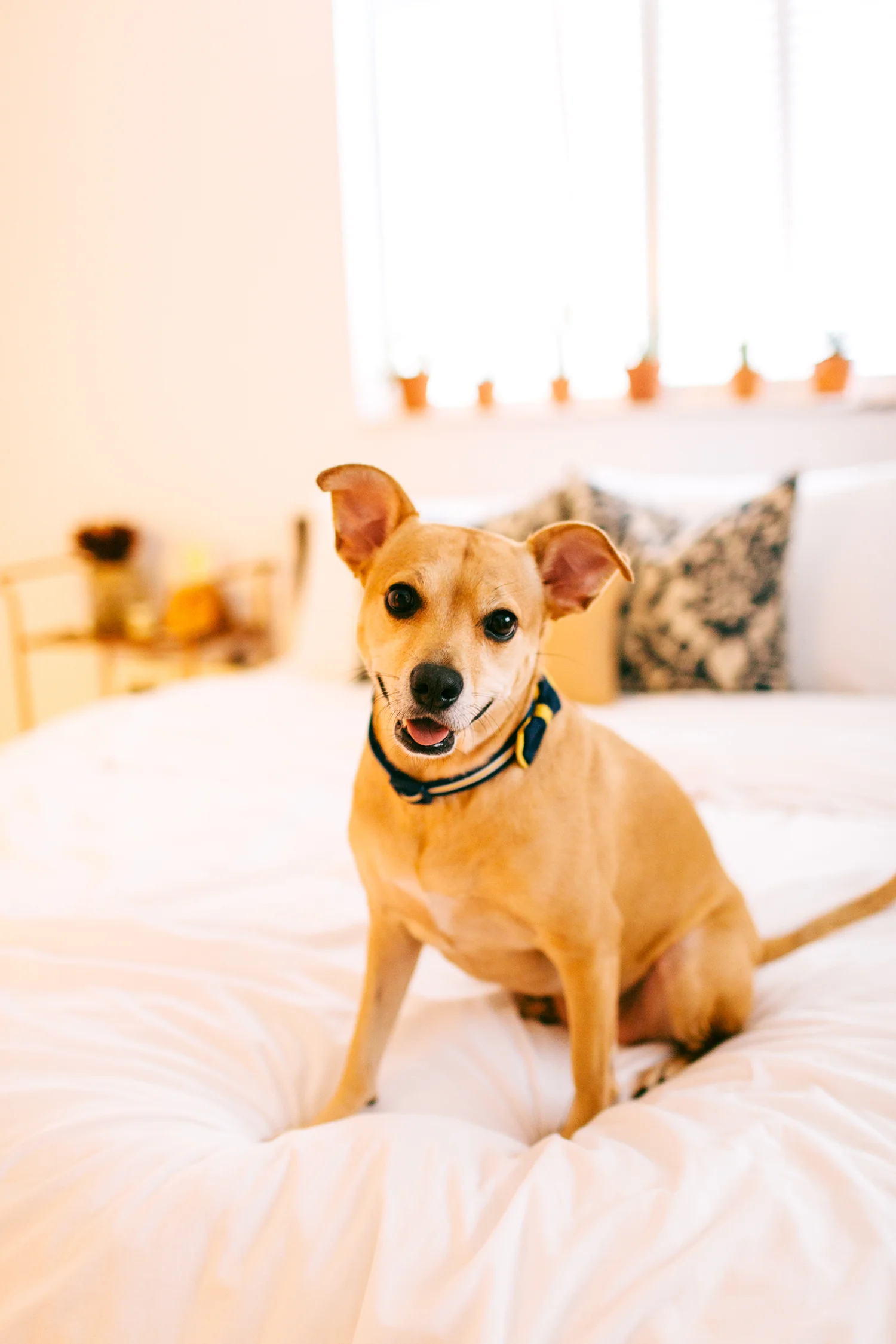 Finding_Light_Photography-Florida_Wedding_Photographer-Anniversary_Photography-03.jpg