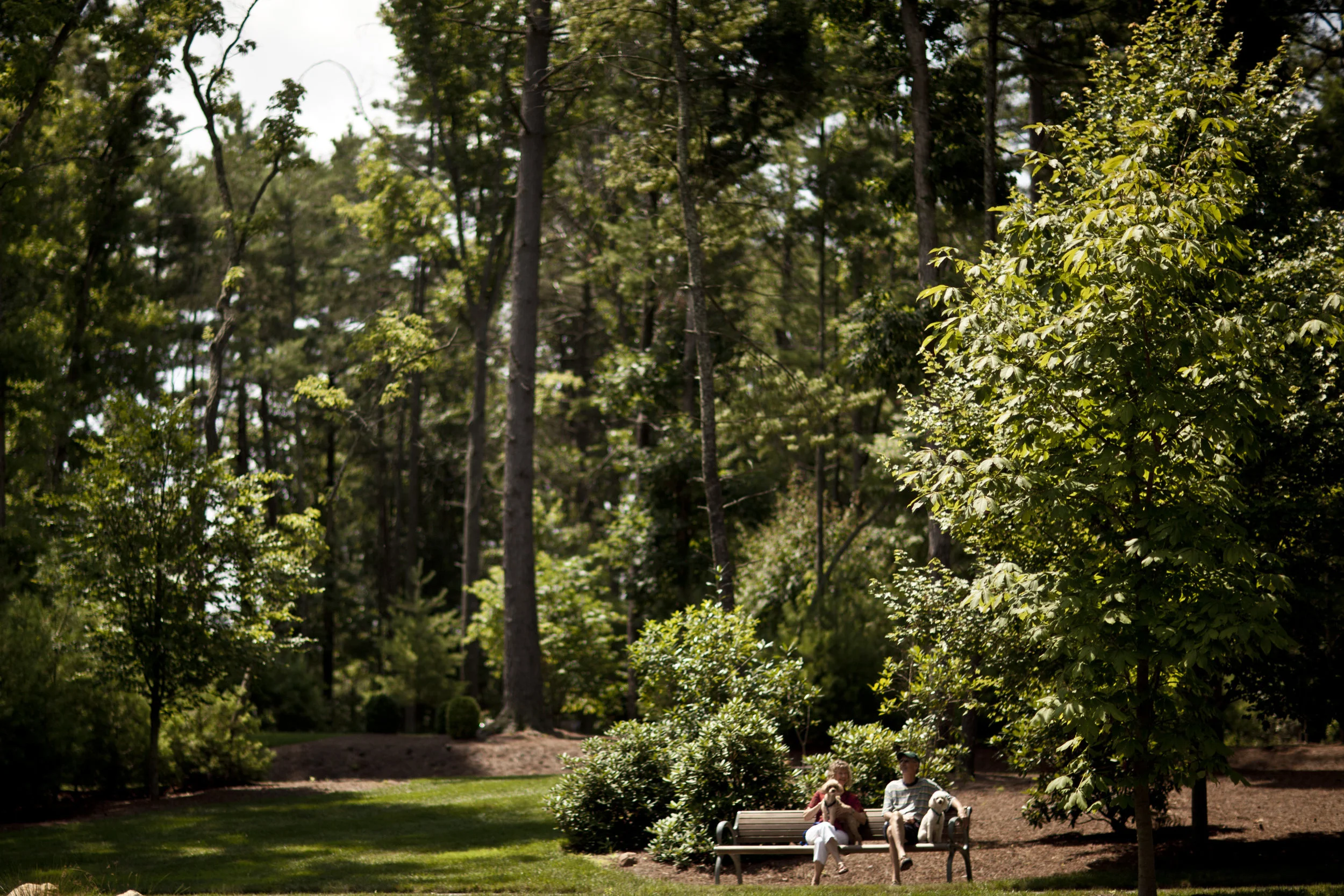 Biltmore070911-7924.jpg