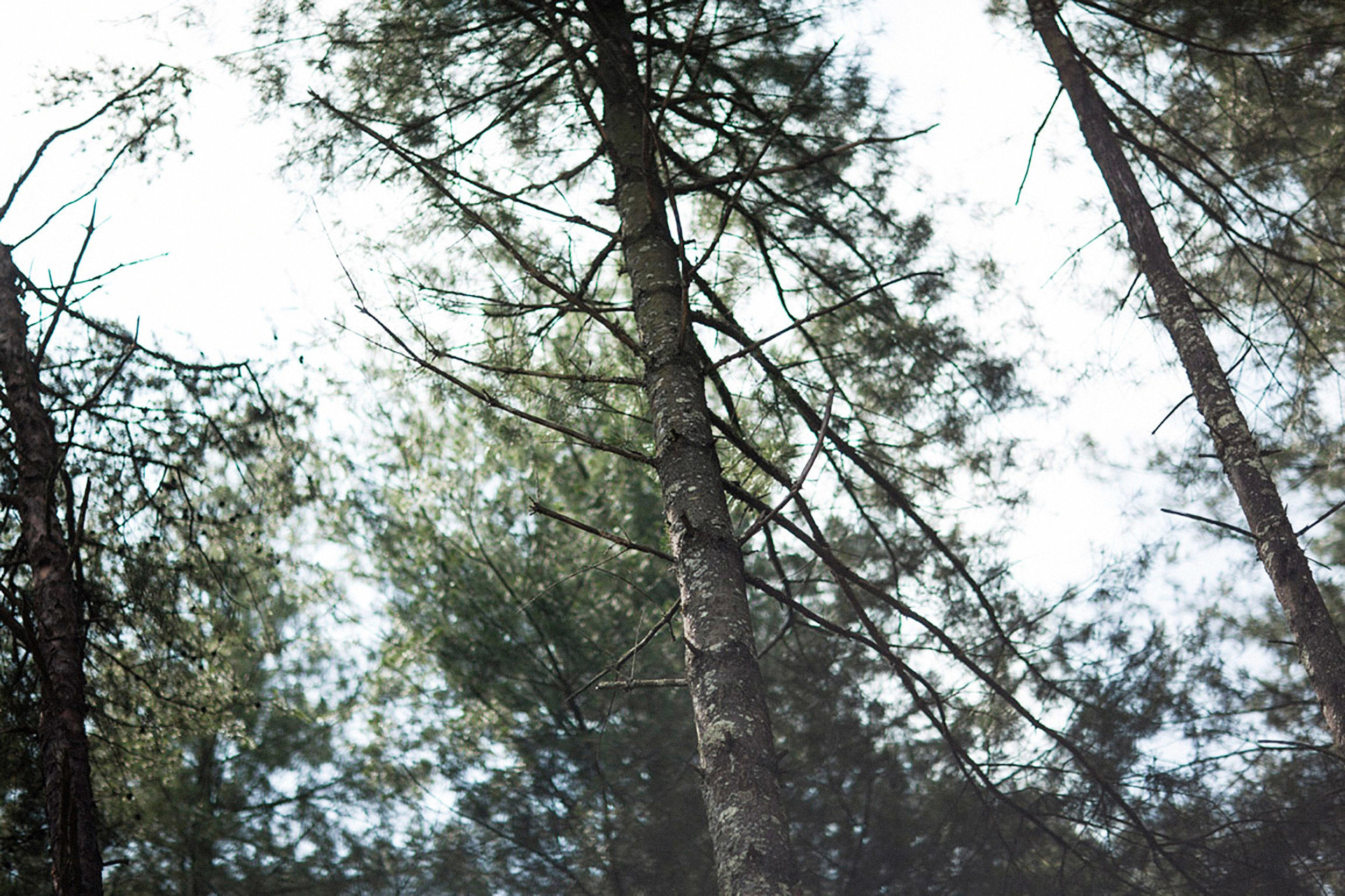 Ramble_20130626-421.jpg