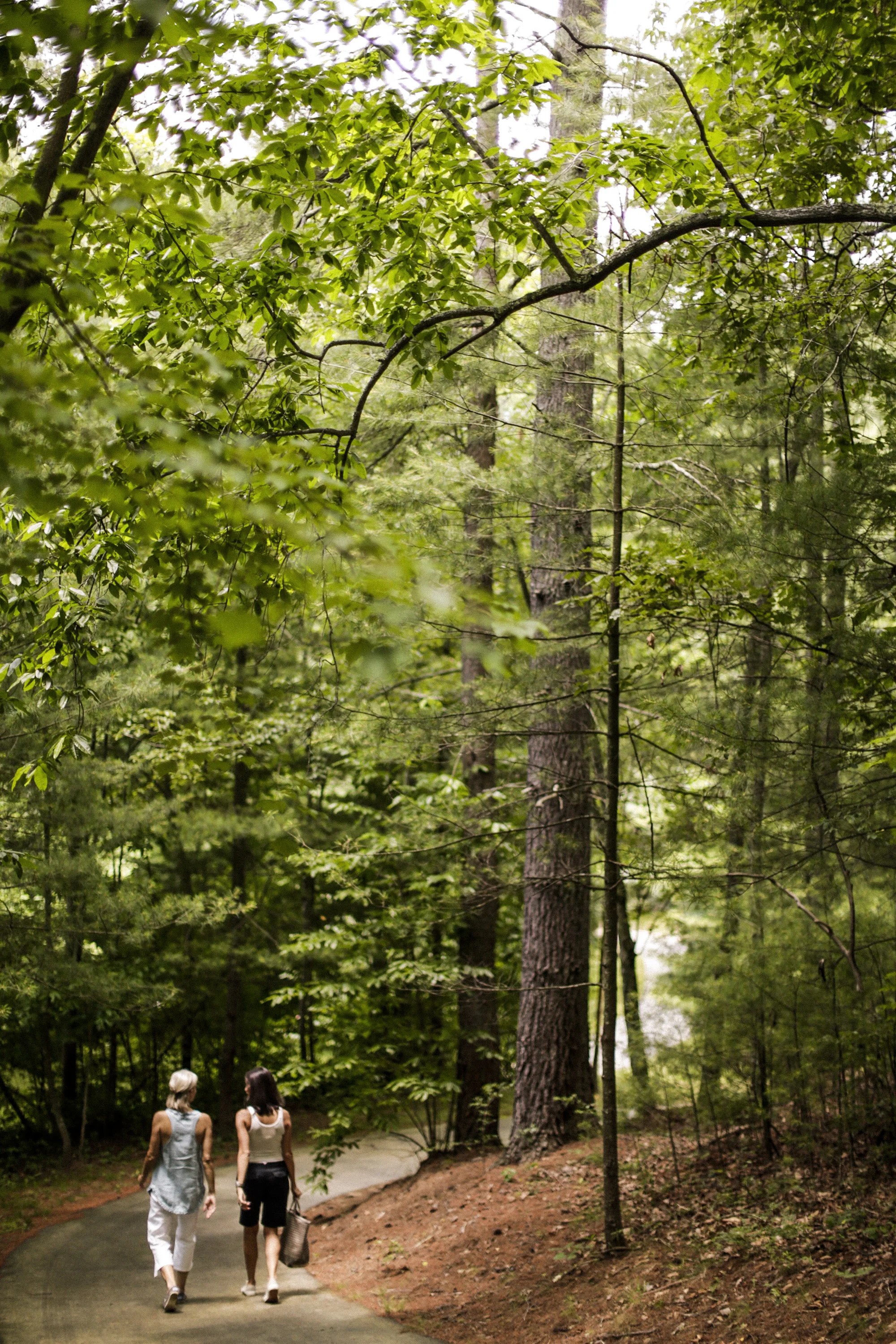 Ramble_20130628-1517.jpg