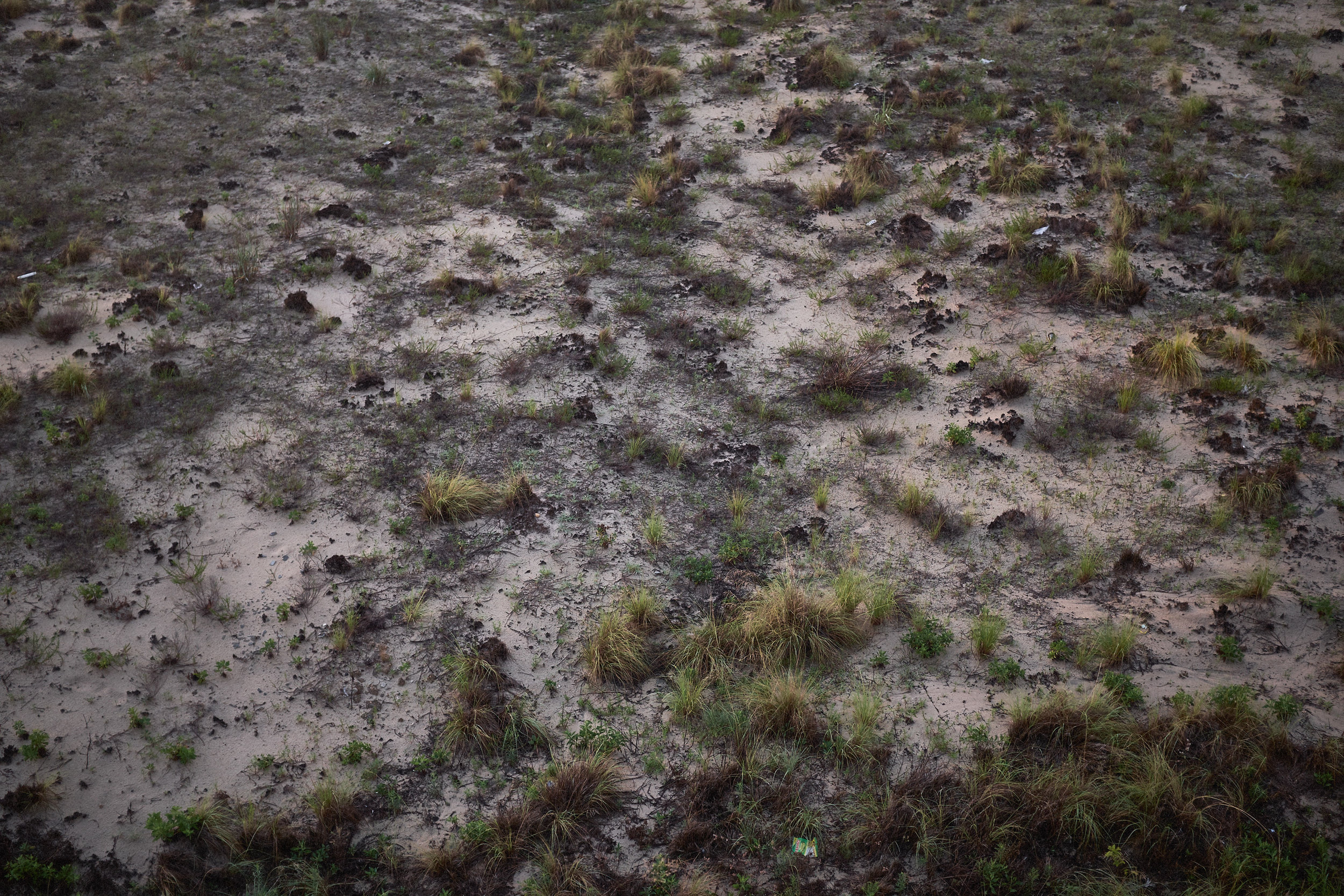 OBX_20170704_0171.jpg