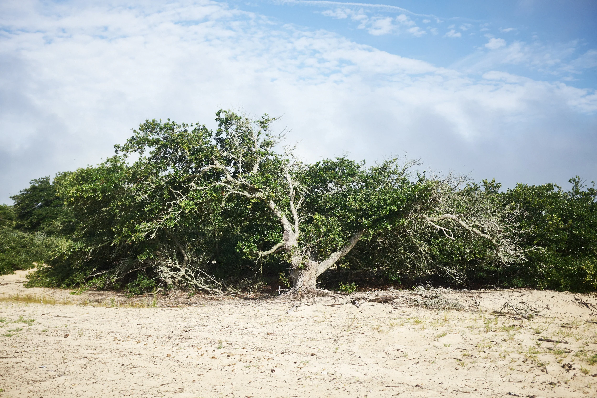 OBX_20170704_0248.jpg