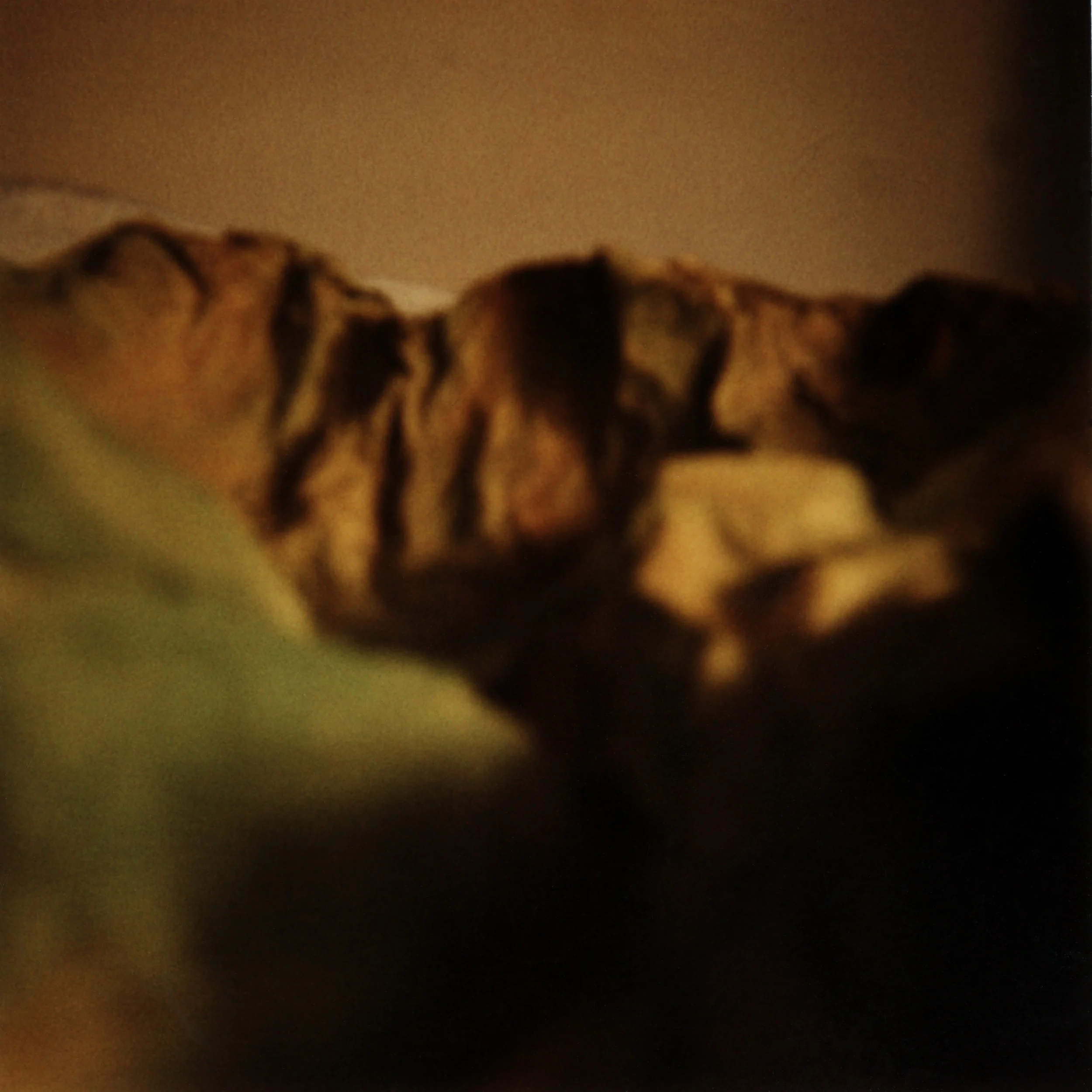 canyon.jpg