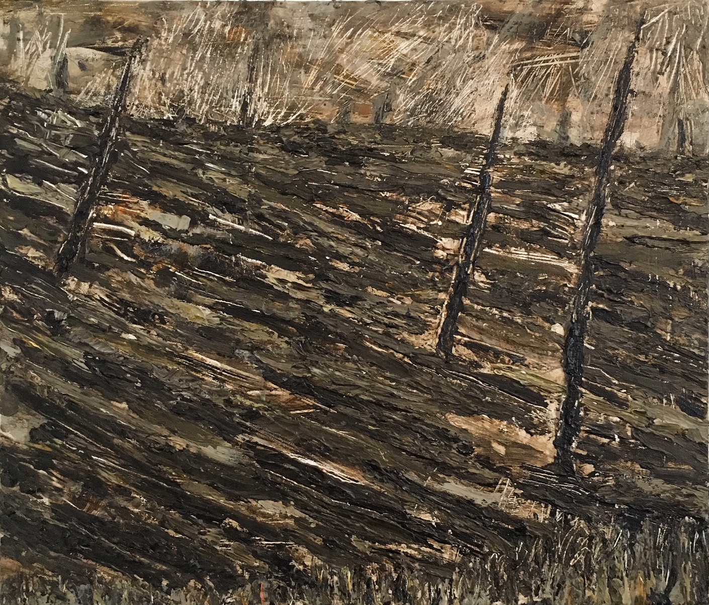 STUDY FOR THE TUNGUSKA EVENT
