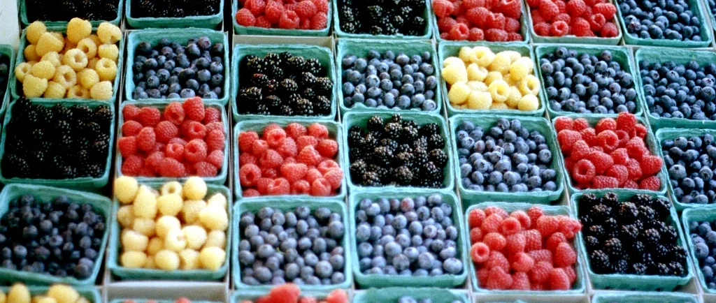 berries.jpg