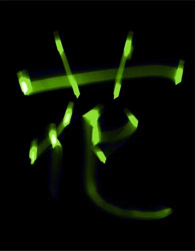 Hana(Flower) - Kyotanabe(Long exposure photo) / 41.3cm x 32.2cm