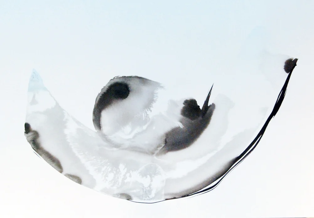 Floating 浮 38x54 cm