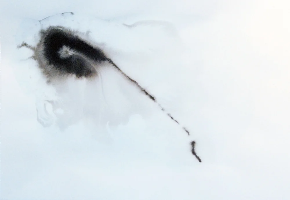 Yearn 望 38x54 cm