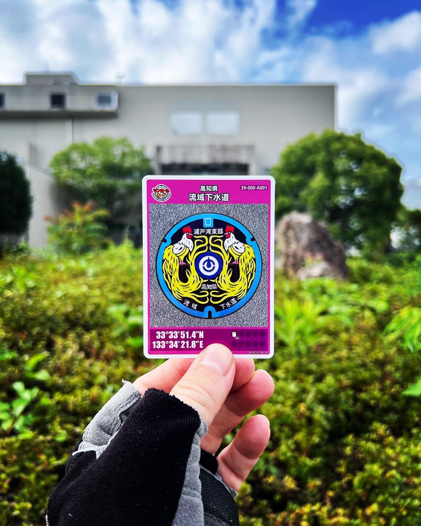 990EF5DA-7624-42AC-AF37-24D1D7964DDA 2.JPG