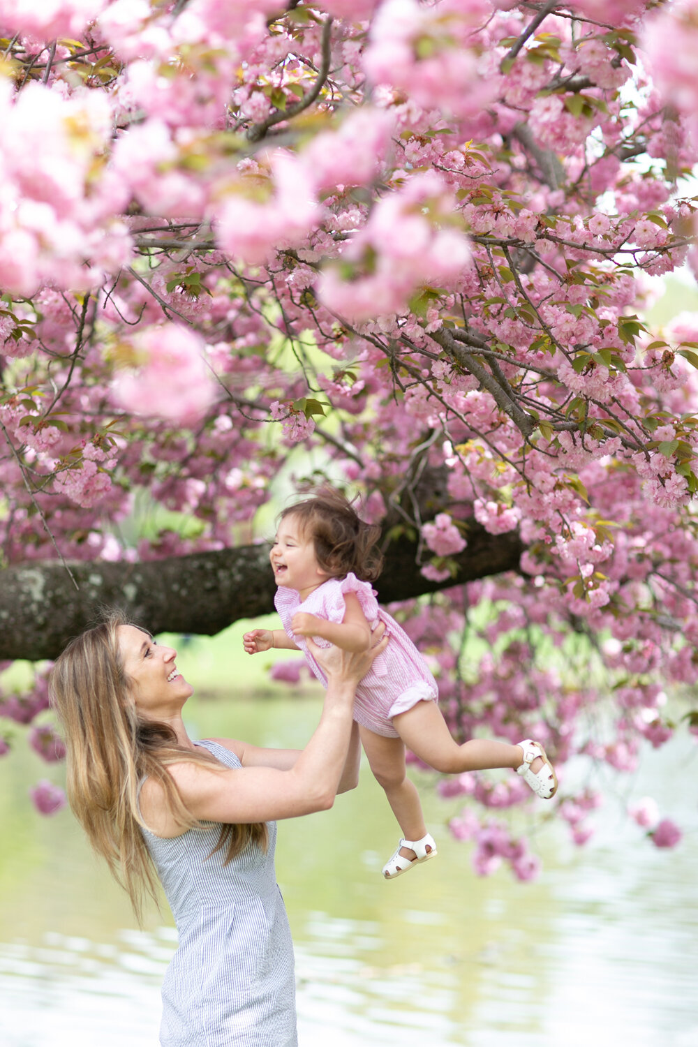 Cherry Blossom Family Photos.jpg