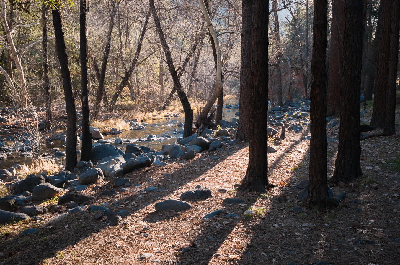 Manzanita Campground along Oak Creek