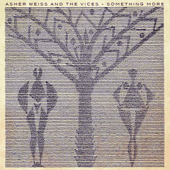 Asher Weiss , Singer/Songwriter from DC/Brooklyn/New Jersey