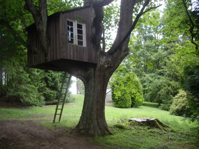 tree-house.jpg