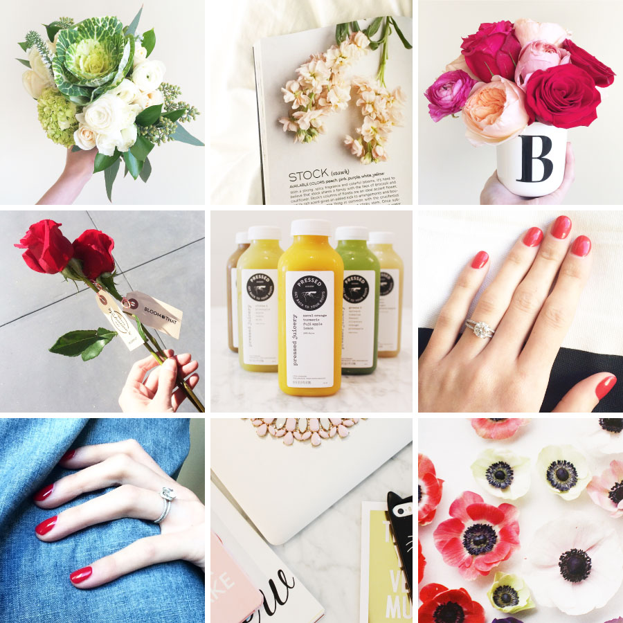 February in Photos | Sundays and Somedays