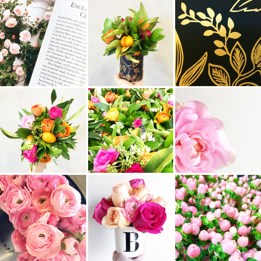 February in Photos | Sundays and Somedays