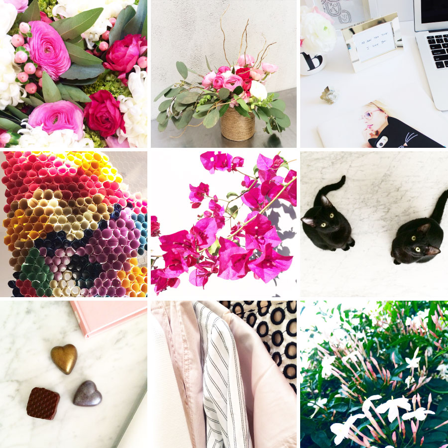 March in Photos | Sundays and Somedays