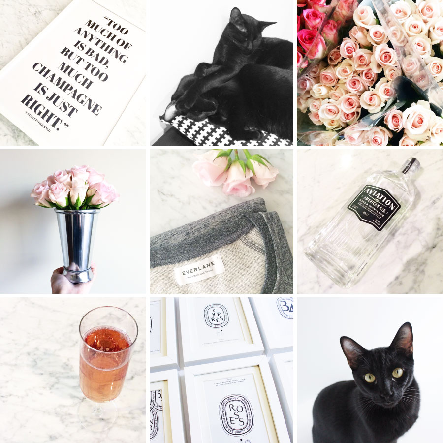 March in Photos | Sundays and Somedays