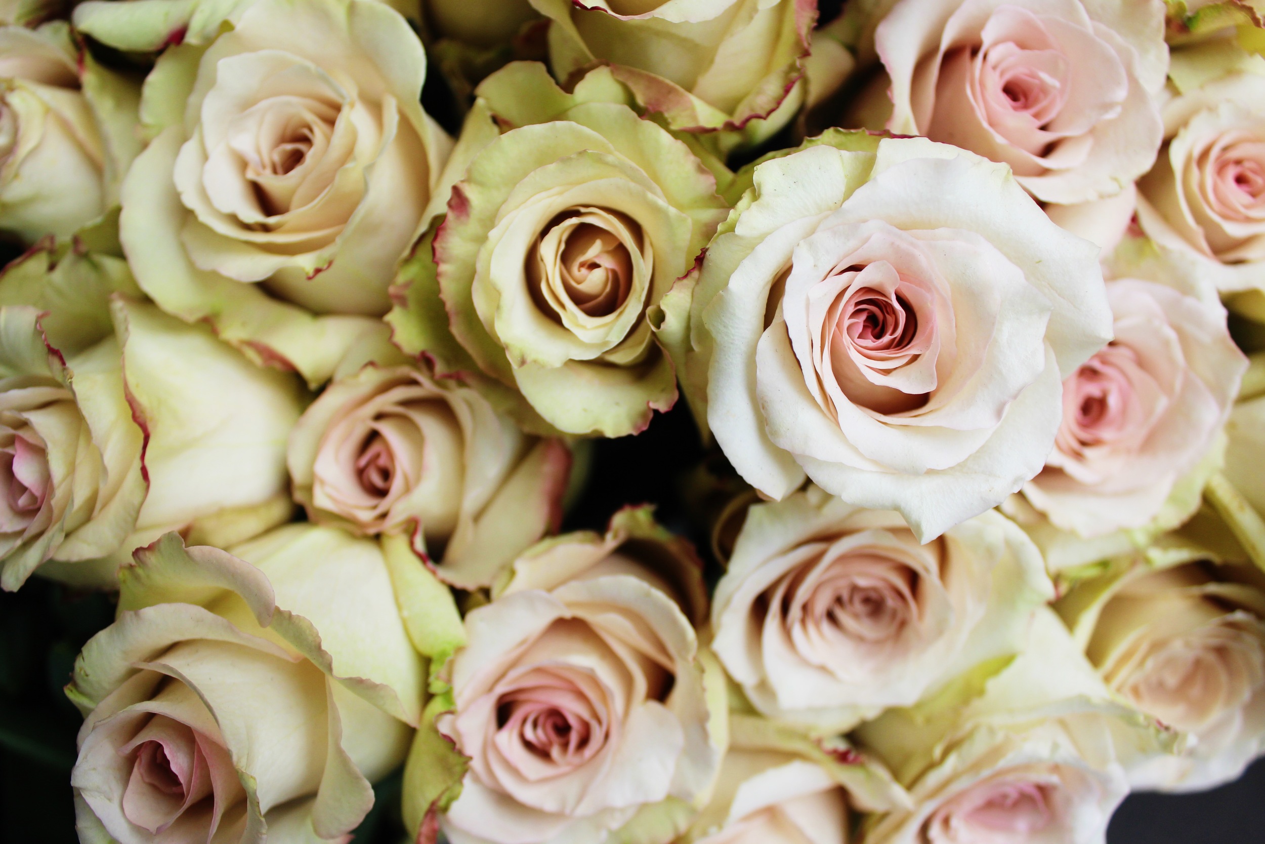 Liberty London Flowers | Sundays and Somedays