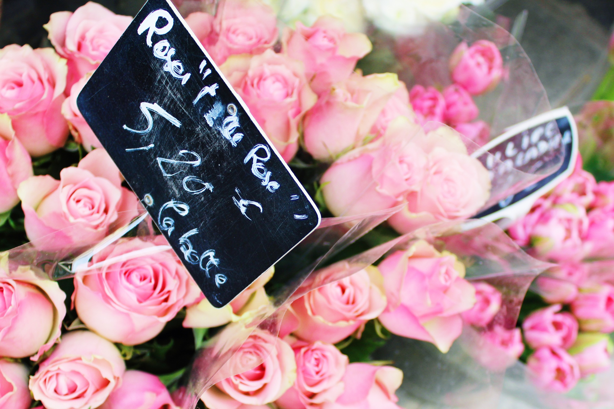 Pink Flowers in Paris | Sundays and Somedays