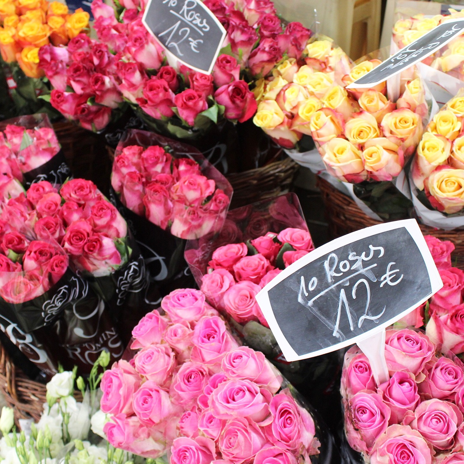 Pink Flowers in Paris | Sundays and Somedays
