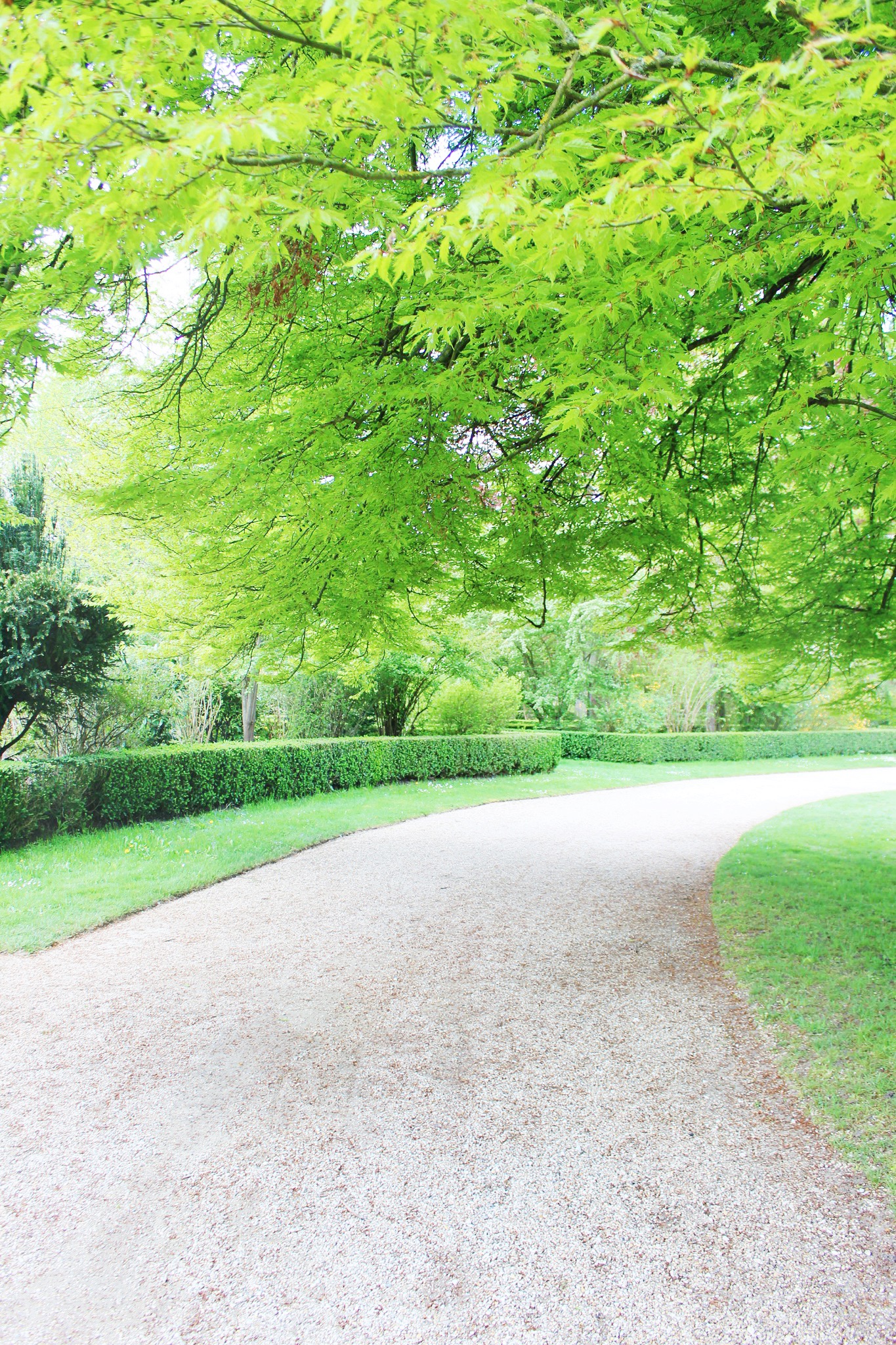 The Gardens of Versailles | Sundays and Somedays