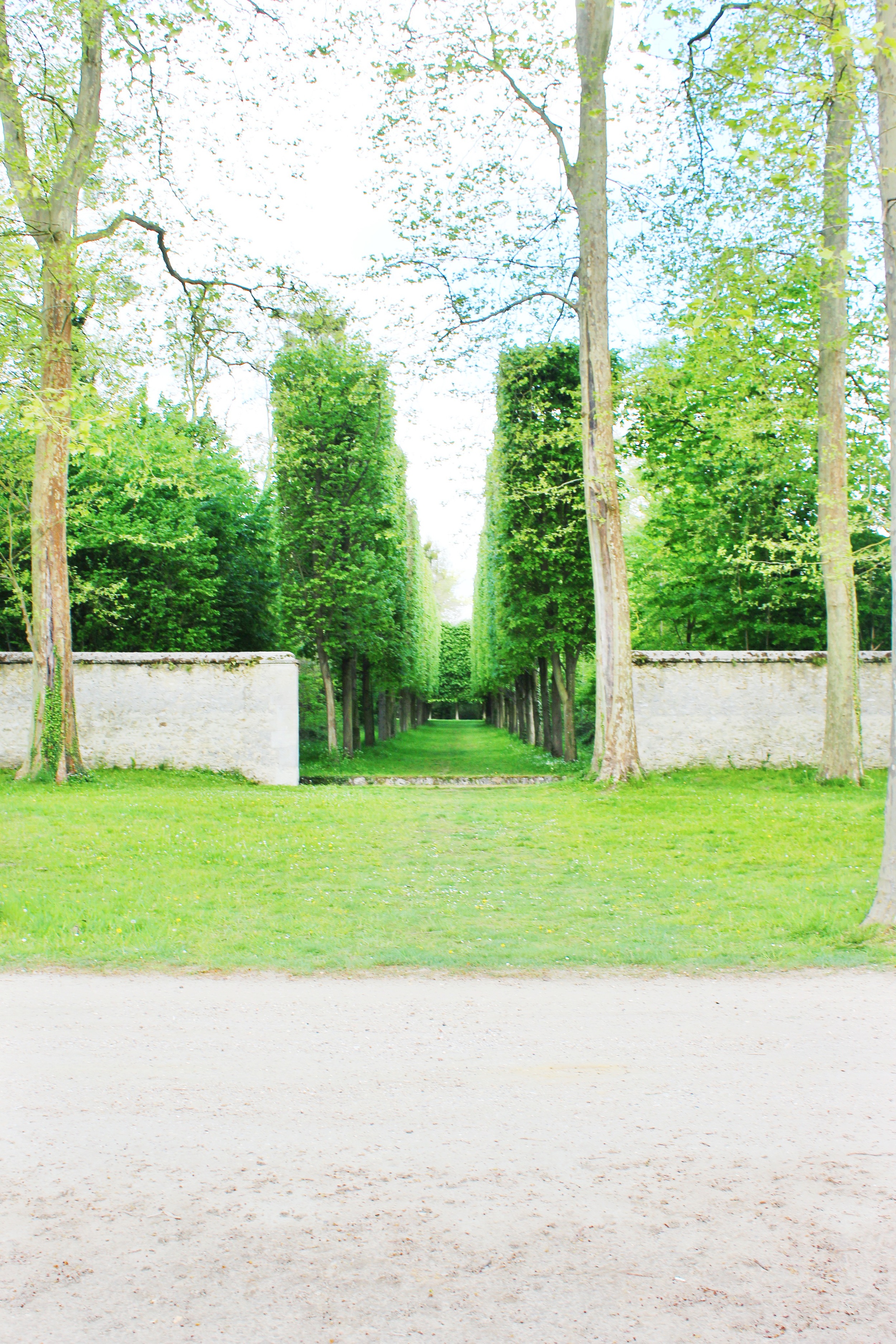The Gardens of Versailles | Sundays and Somedays