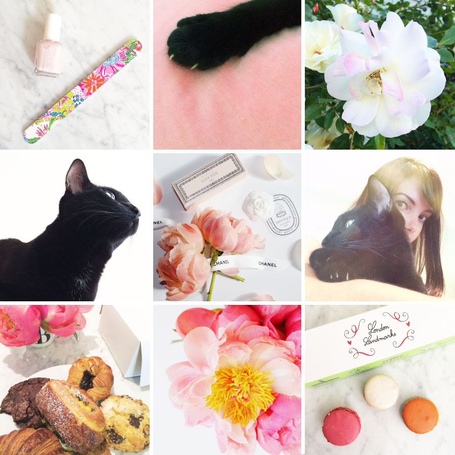 May in Photos - Pink, Peonies, Cats and Lily for Target | Sundays and Somedays