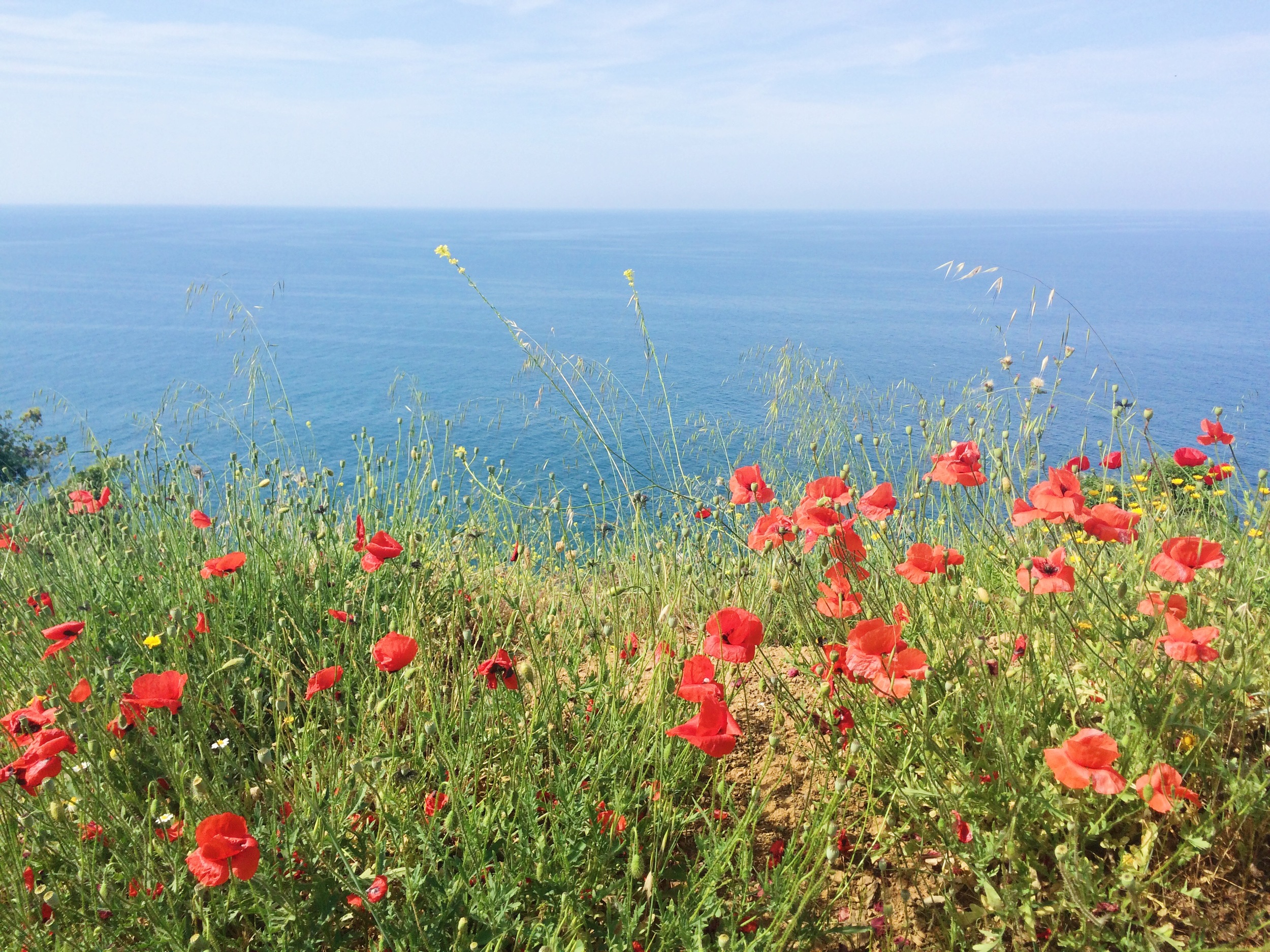 Greece Highlights - Roadside Beauty, Perfect Beaches and More | Sundays and Somedays