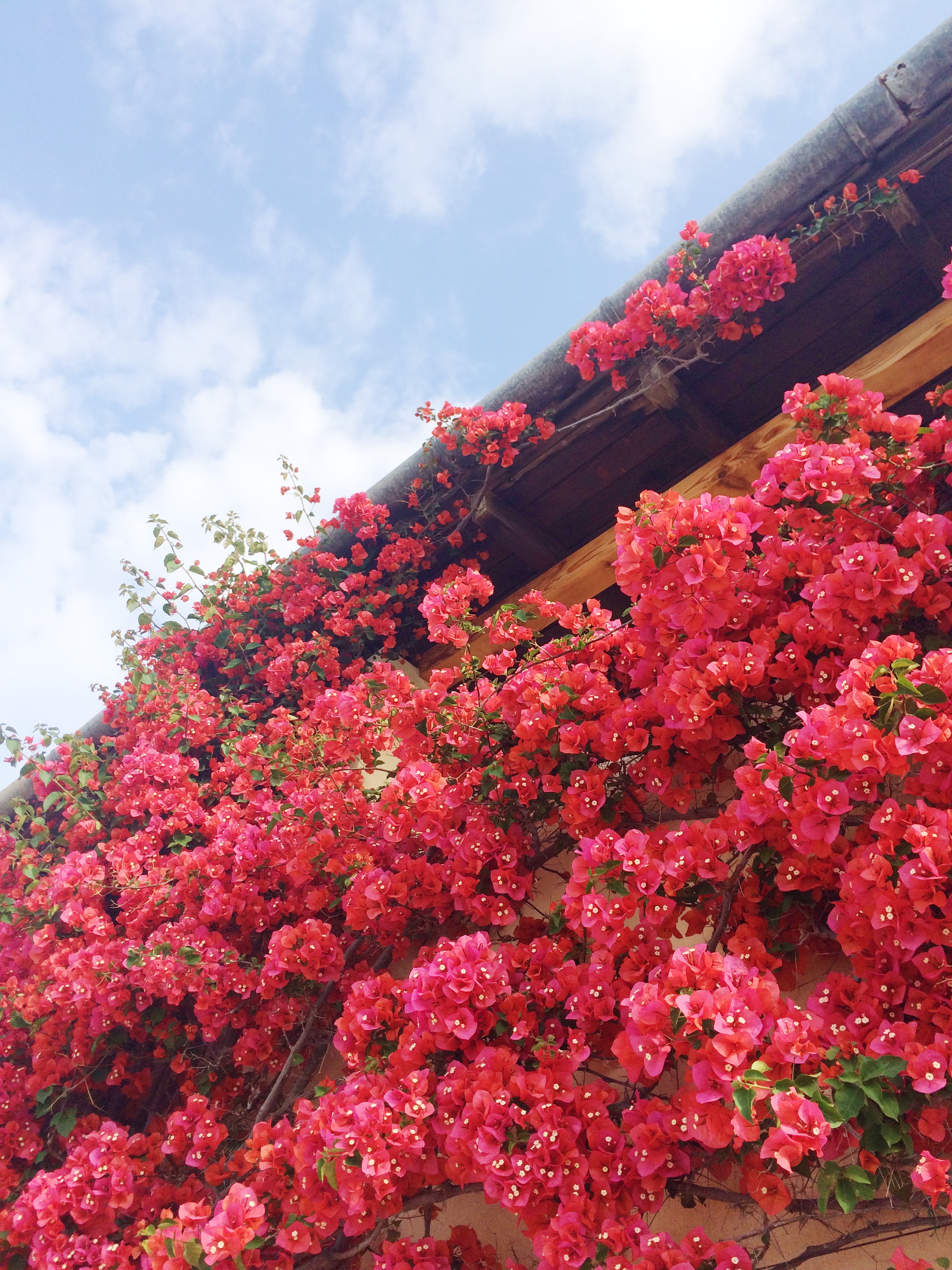 Greece Highlights - The Island of Skiathos and More | Sundays and Somedays