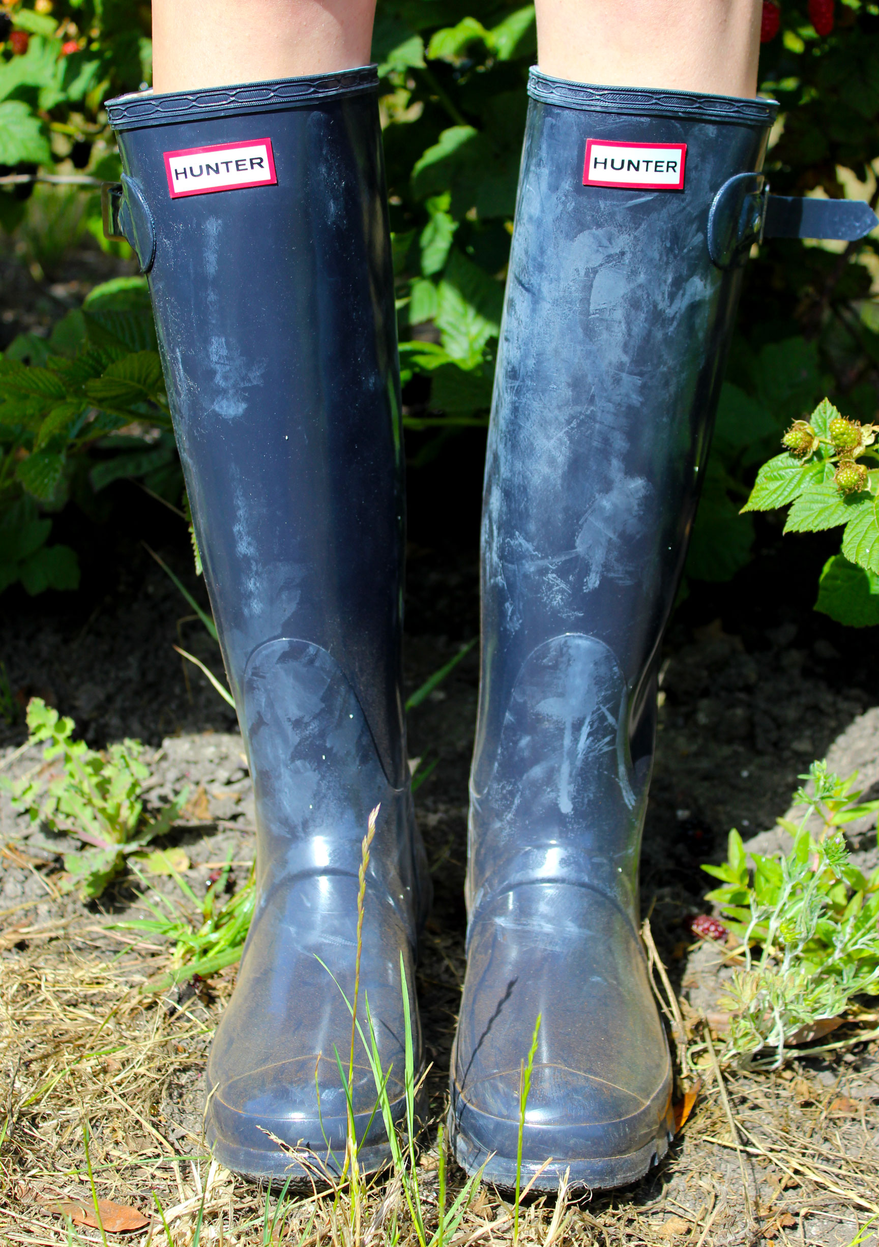 Summertime in Northern California - picking berries and wearing navy blue Hunter boots | Sundays and Somedays