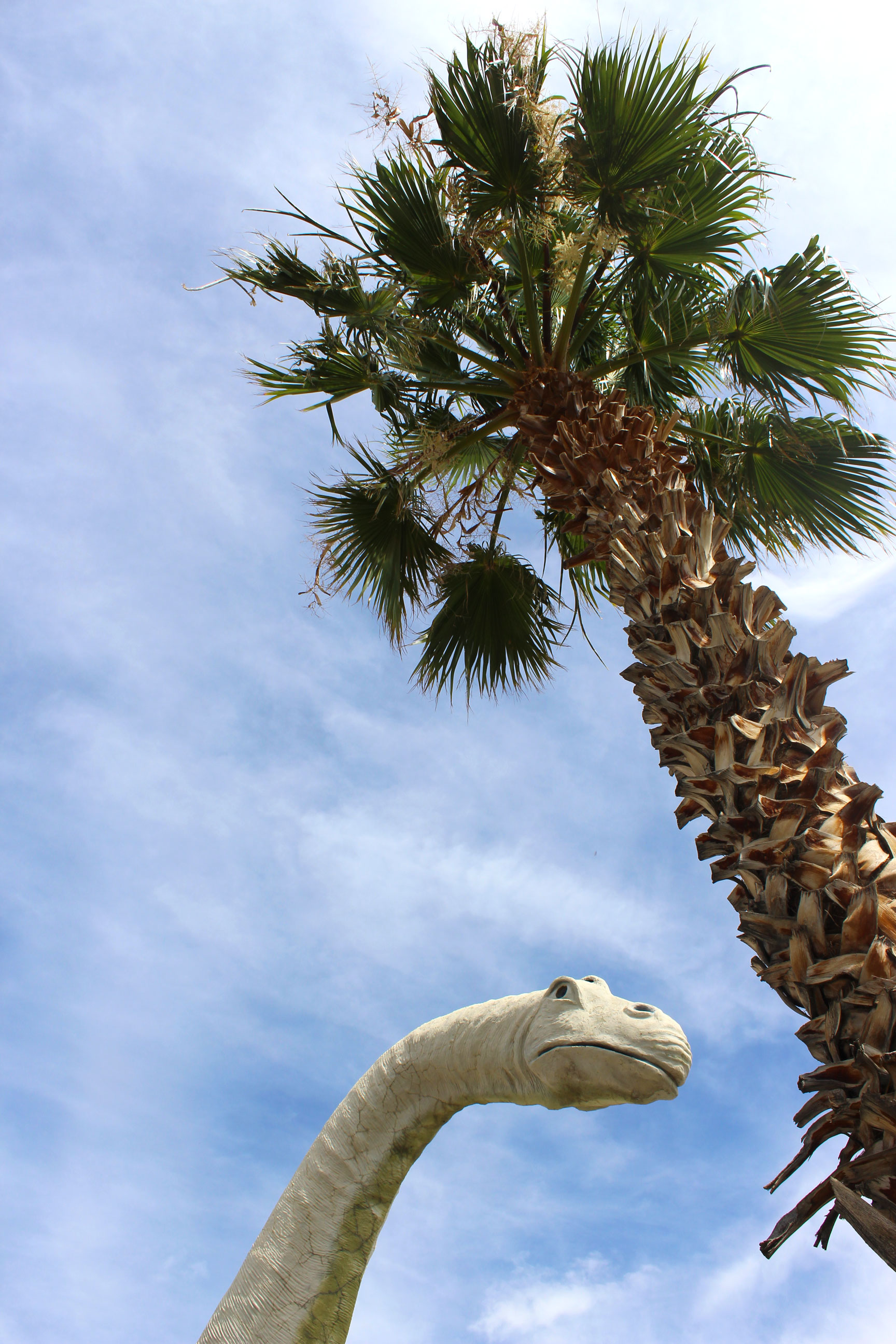 Cabazon Dinosaurs - roadside attraction outside of Palm Springs | Sundays and Somedays
