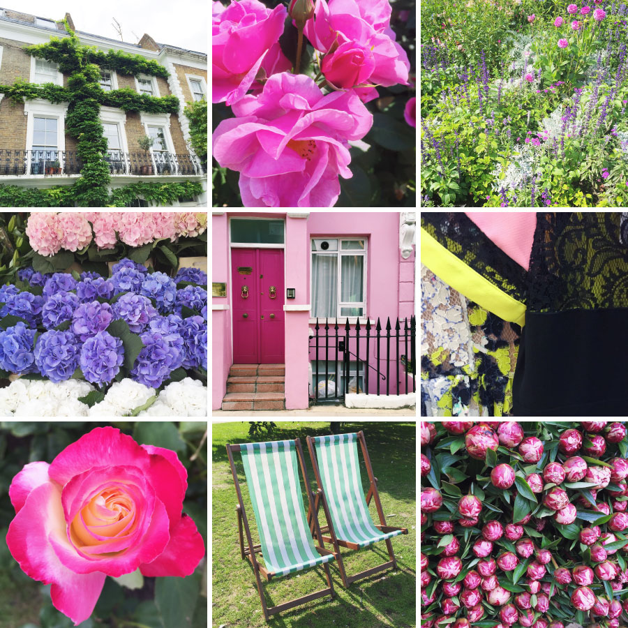 September in photos - rose gardens, striped chairs, and pink houses