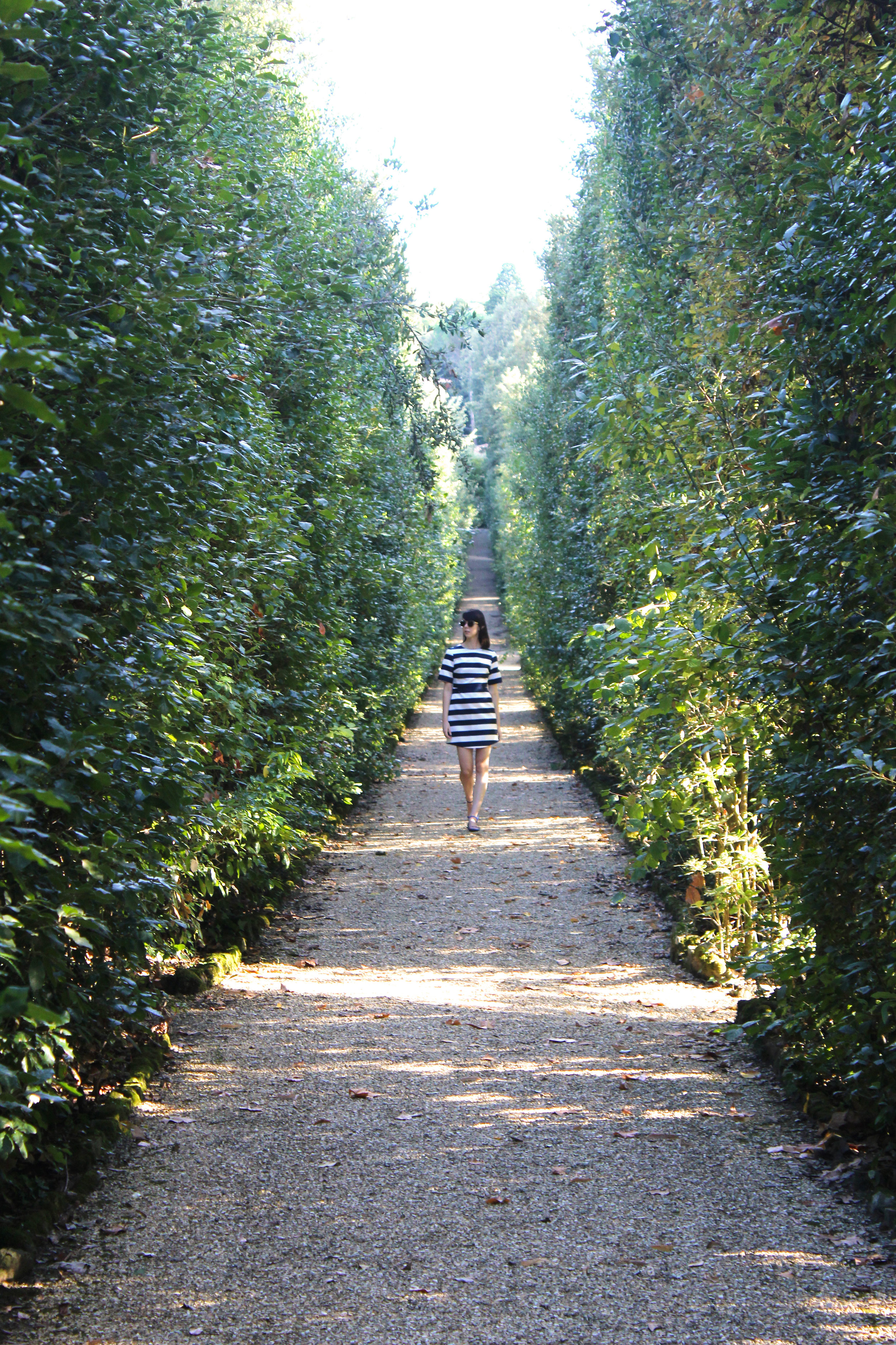 The pretty paths and hedges in the Boboli Gardens, Florence.