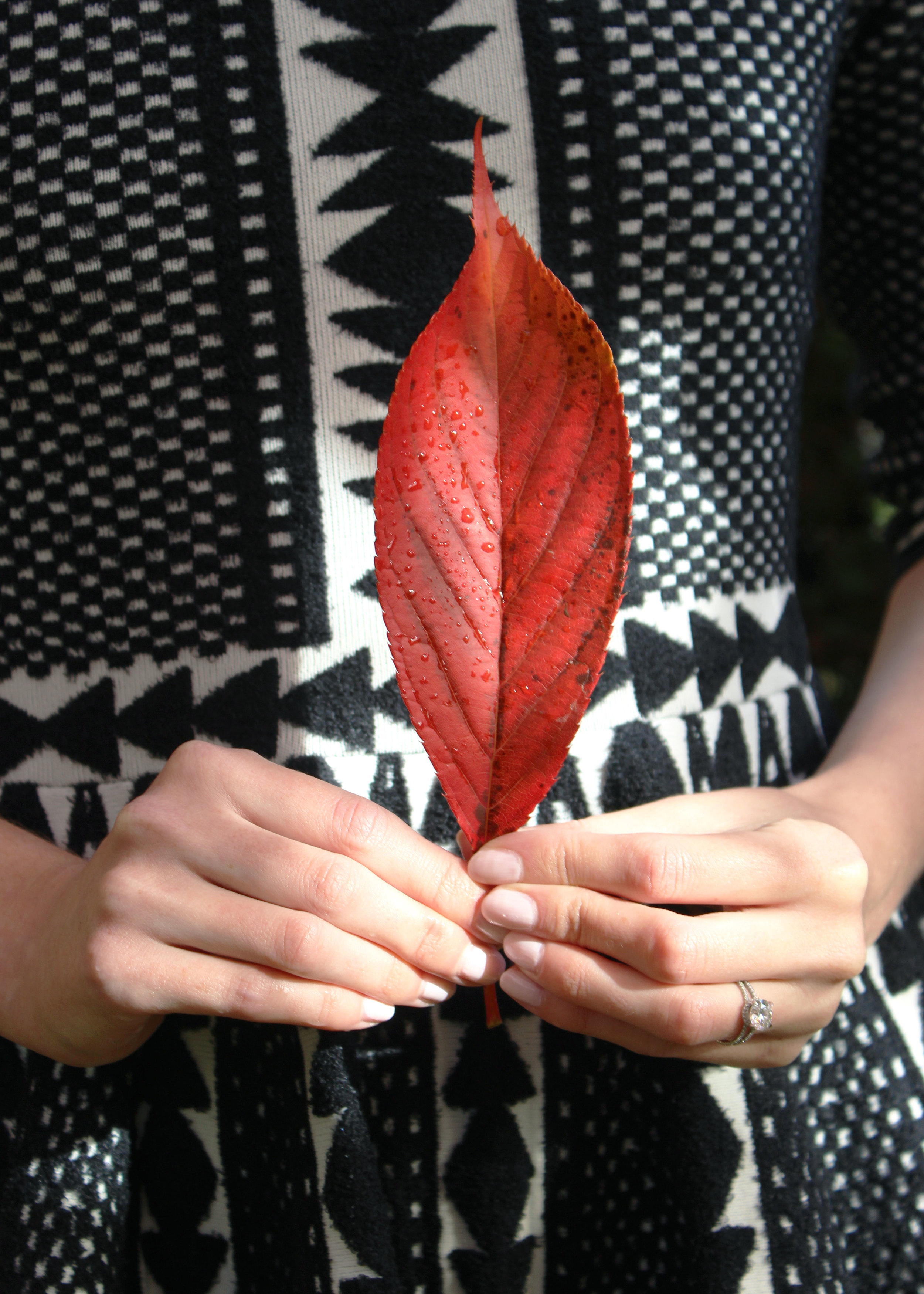 Finding the prettiest leaf in the park.