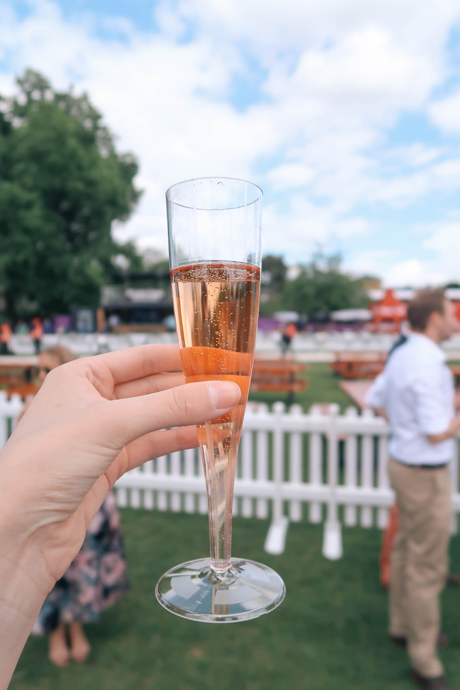 7 Polo Terms to Know and What To Wear to a Polo Match | Baublebar earrings, Boden occasionwear dress | Sundays and Somedays