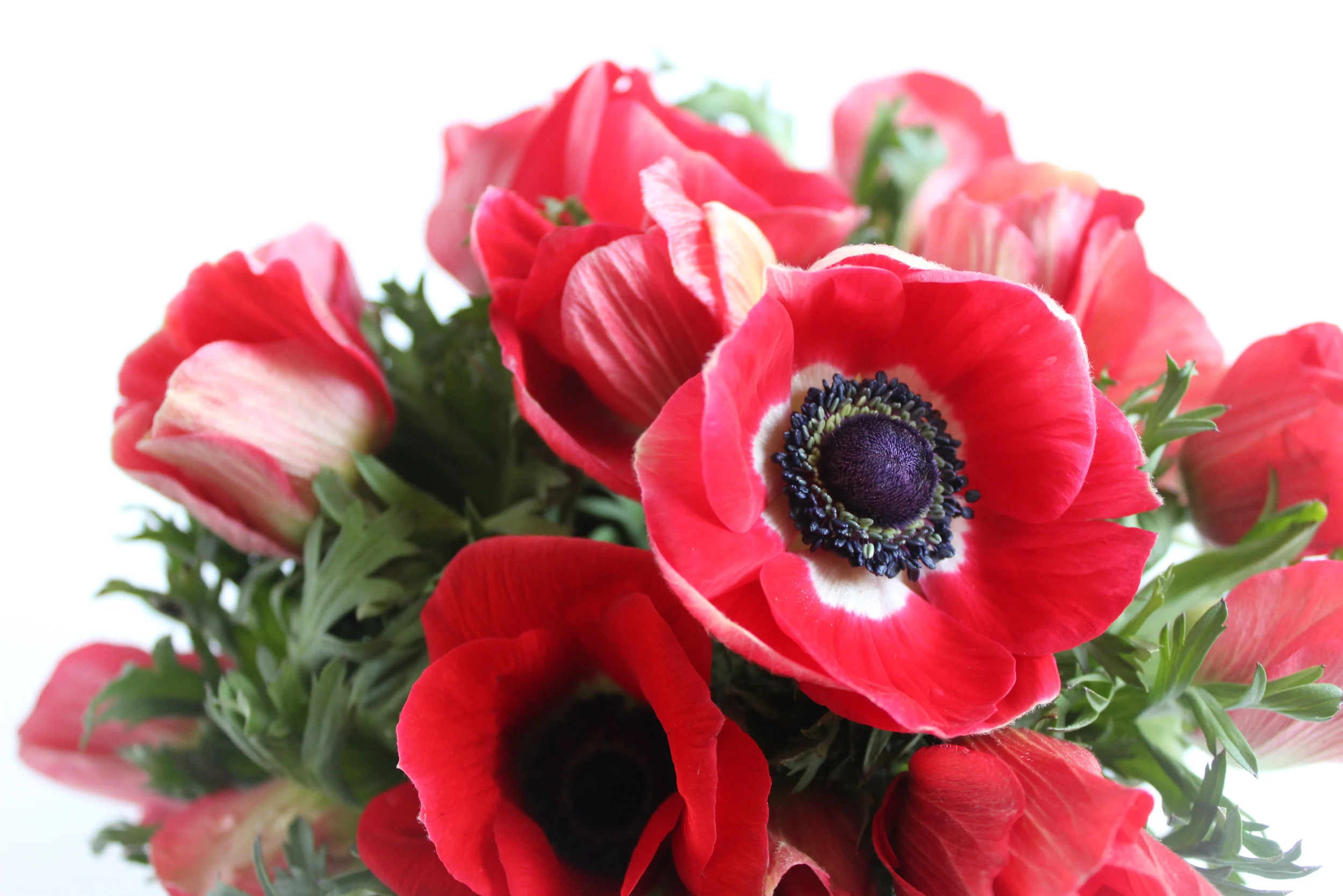 Derby Day Flowers