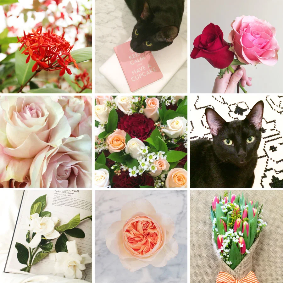 February in Photos
