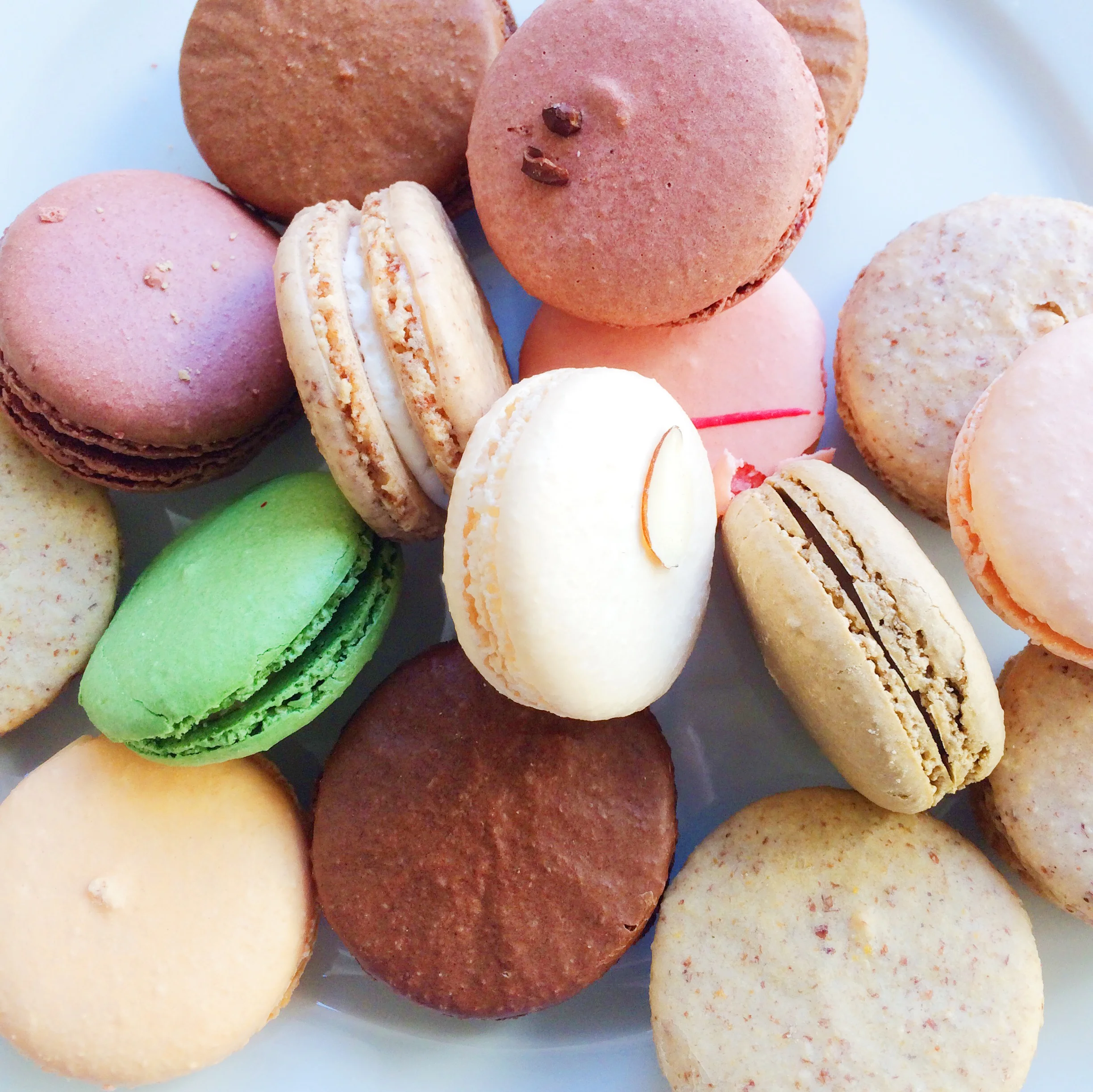 A San Francisco Macaron Tasting
