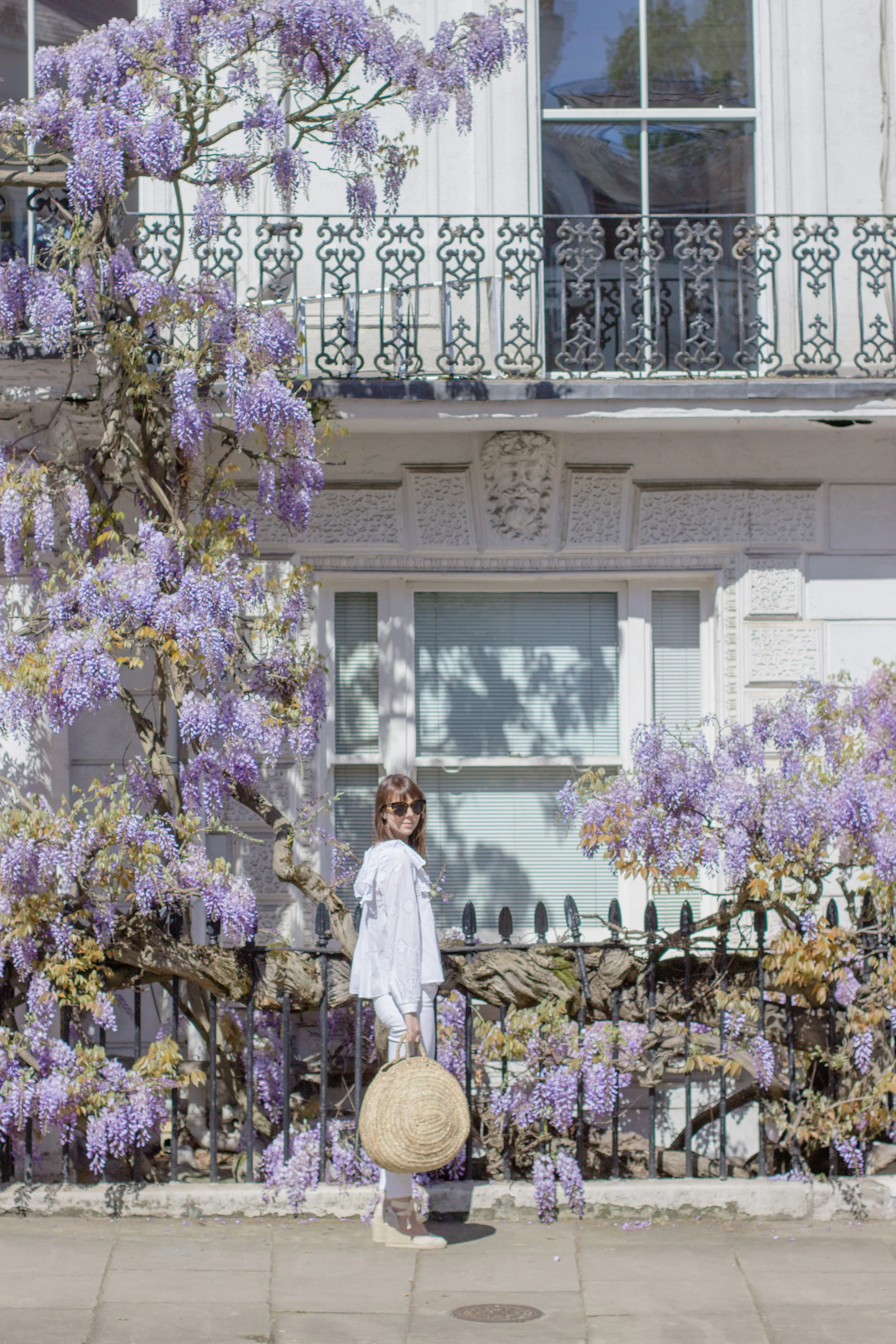 Where to find wisteria in London - the best wisteria hysteria house in Notting Hill | Sundays and Somedays