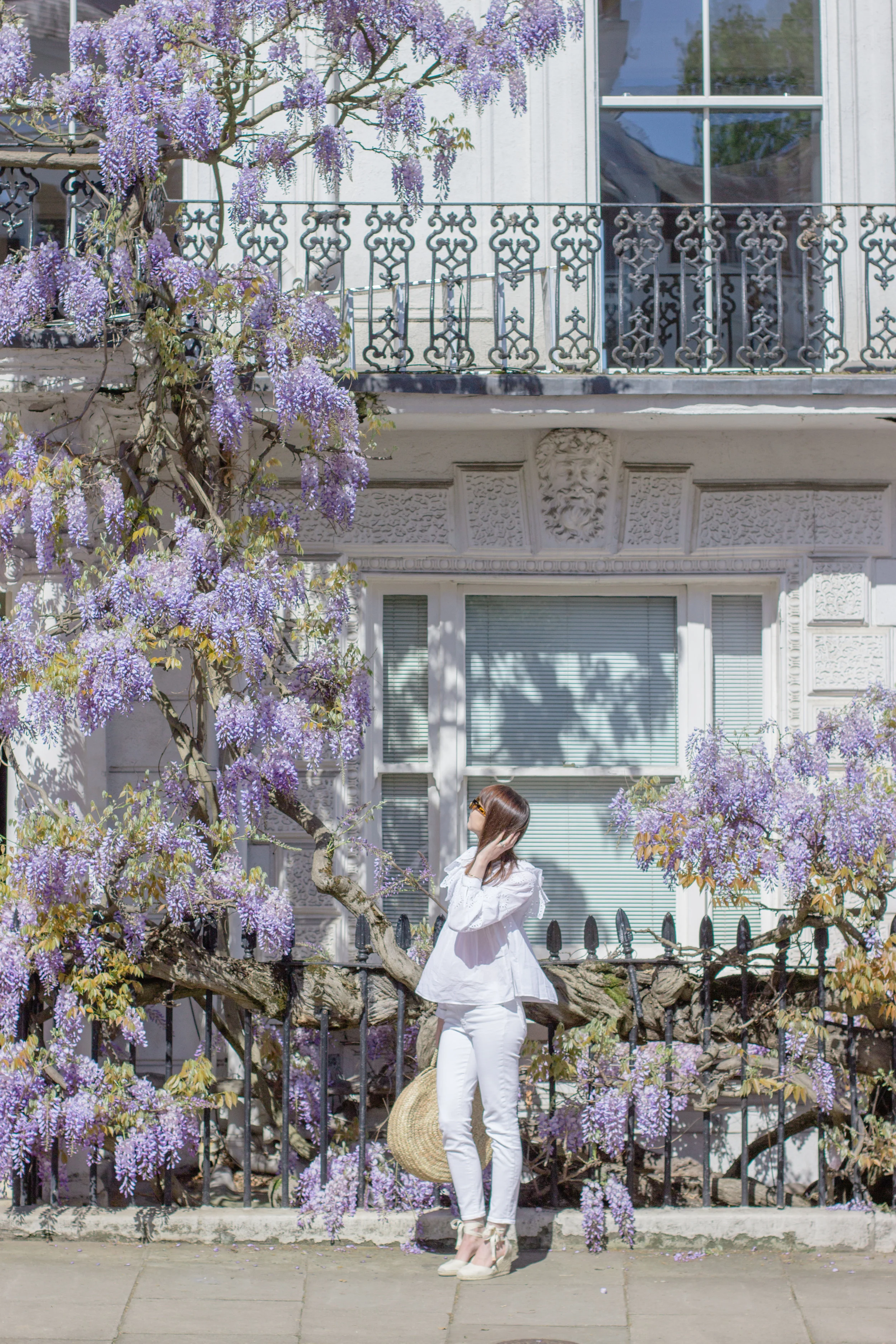Where to find wisteria in London - the best wisteria hysteria house in Notting Hill | Sundays and Somedays
