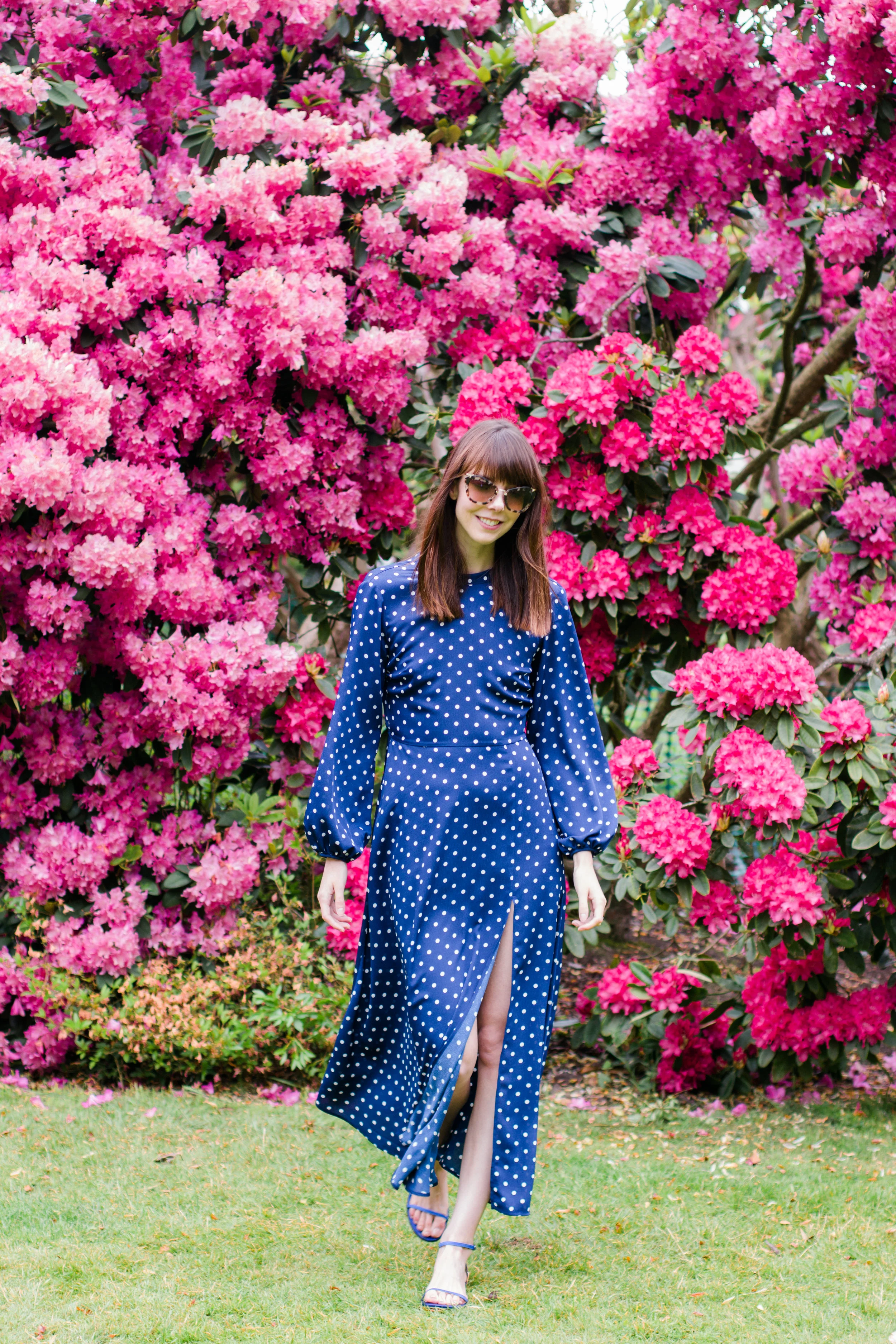 Pink and purple rhododendron flowers at Kenwood House, Hampstead Heath, London | Sundays and Somedays
