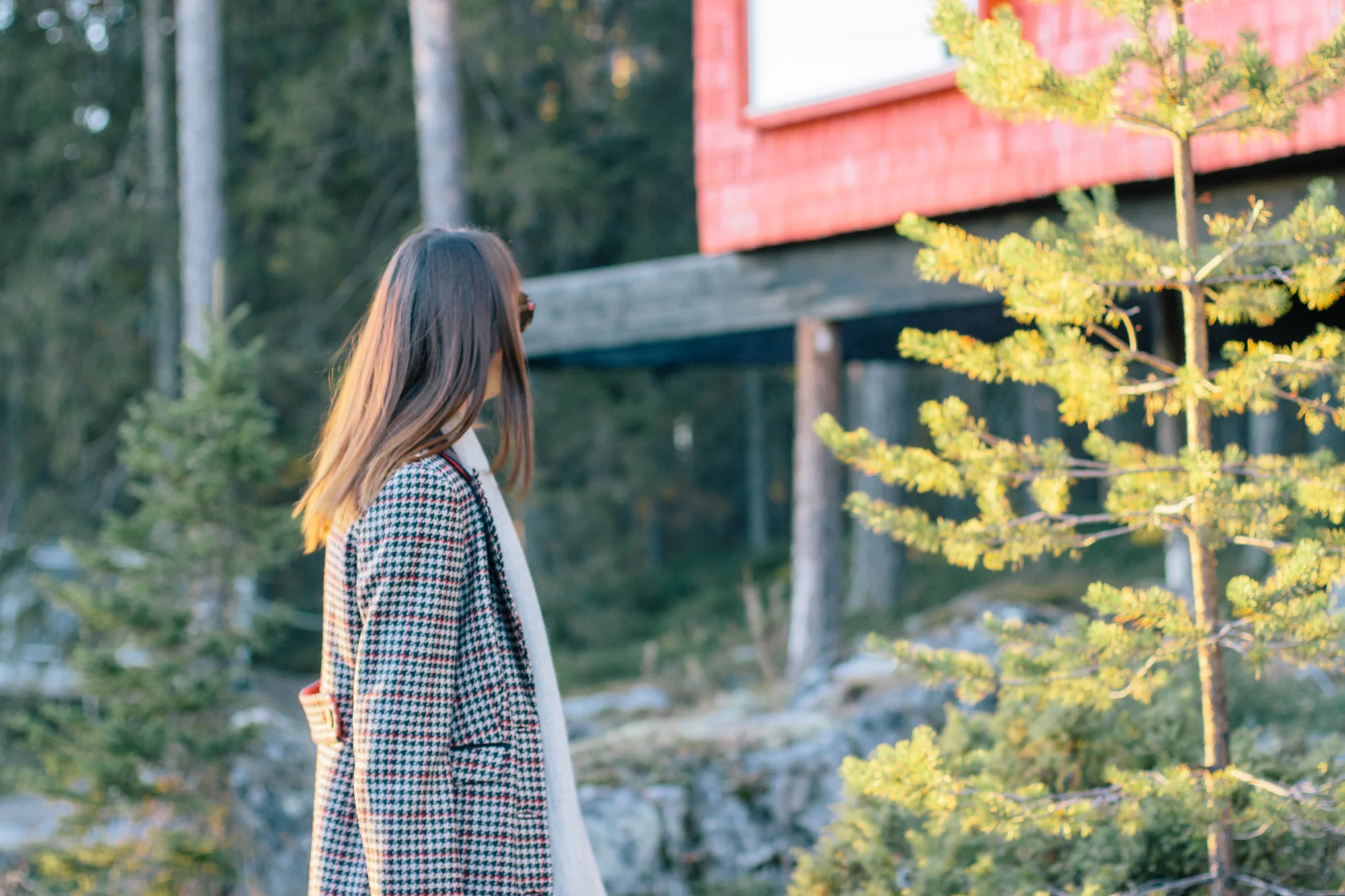 Brenda McIntosh Stockholm Treehotel Boden-24.jpg