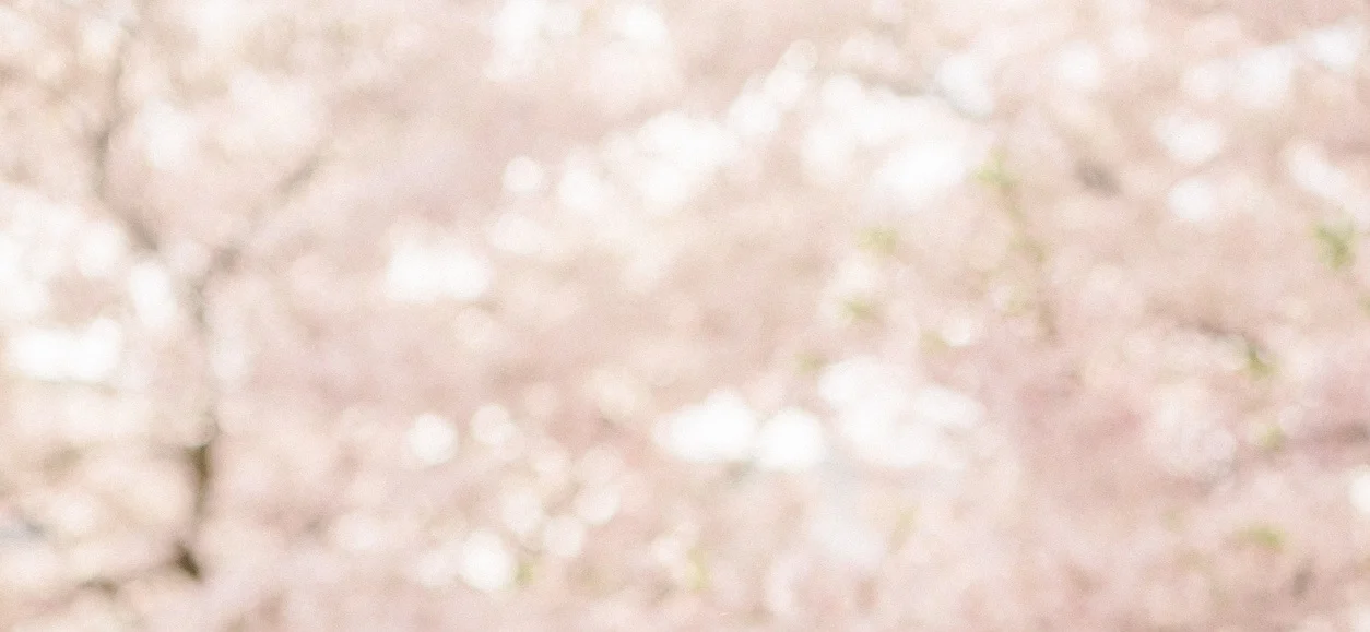 Notting+Hill+Cherry+Blossoms-7.jpg