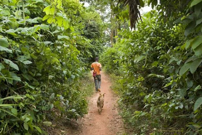Cocoa_Slave.jpg