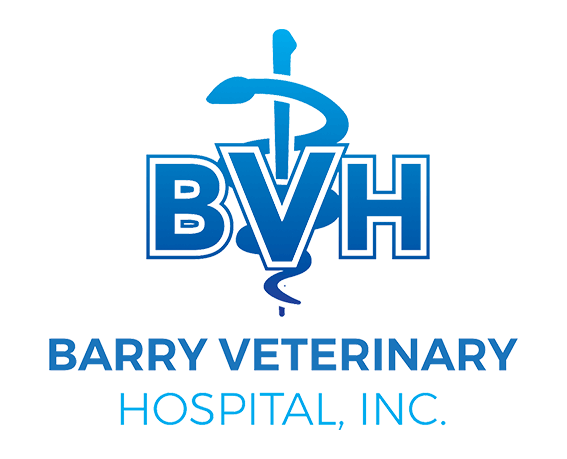 barry_logo_format_567x459.png