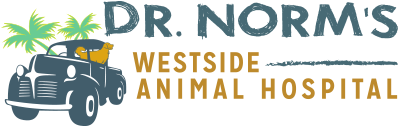 dr-norms-westside.png