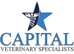 capvet_logo2.png